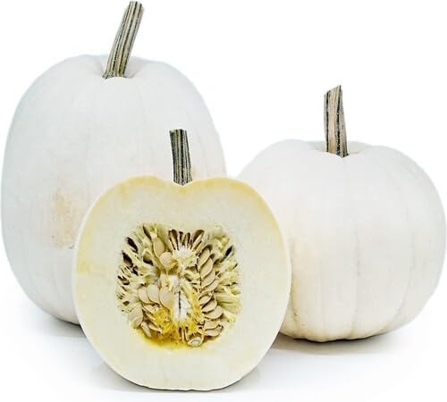 White Pumpkin Seeds – Heirloom, Non-GMO, High Germination Organic Garden Seeds Planting