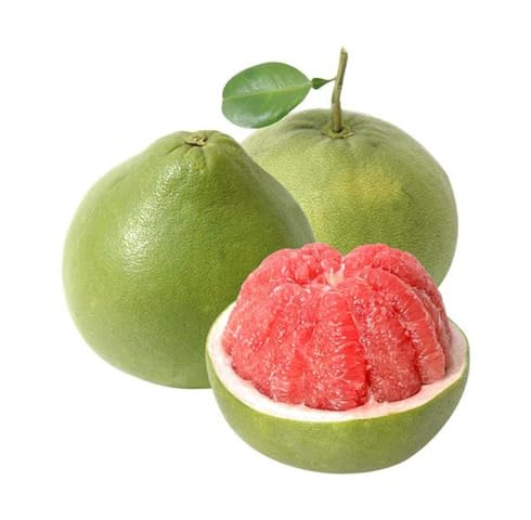 Red Pomelo Seeds – Heirloom, Non-GMO, High Germination Organic Garden Seeds