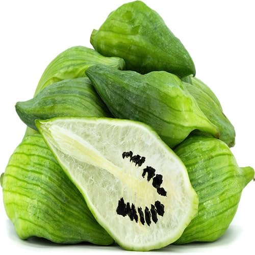 Green Caigua Seeds – Heirloom, Non-GMO, High Germination Organic Garden Seeds Planting
