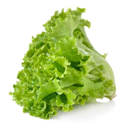 Lettuce Seeds – Heirloom, Non-GMO, High Germination Organic Garden Seeds Planting