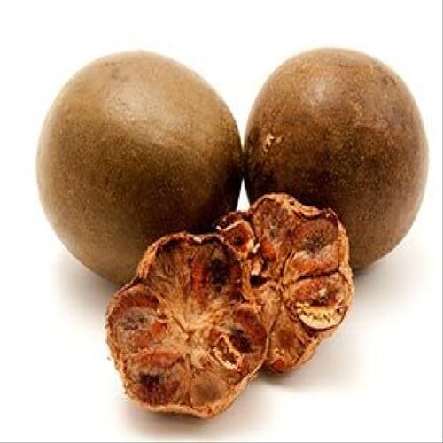 Brown Monk Seeds Heirloom Non-GMO High Germination Organic Garden Seeds for Planting