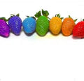 Rainbow Strawberry Fruit Seeds for Planting – Heirloom Non-GMO High Germination Organic Garden Seeds