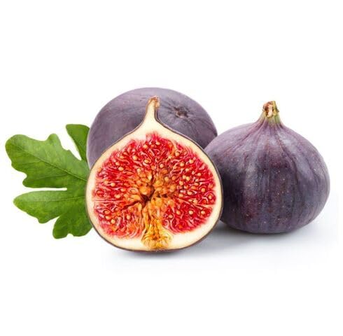 Purple Fig Seeds – Heirloom, Non-GMO, High Germination Organic Garden Seeds
