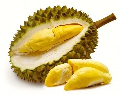 Yellow Durian Seeds – Heirloom, Non-GMO, High Germination Organic Garden Seeds