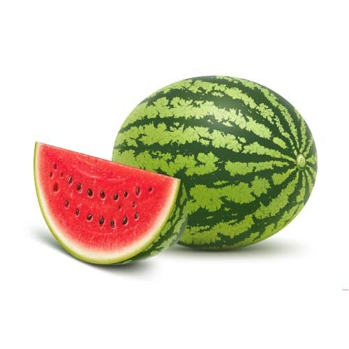 Green Watermelon Seeds – Heirloom, Non-GMO, High Germination Organic Garden Seeds
