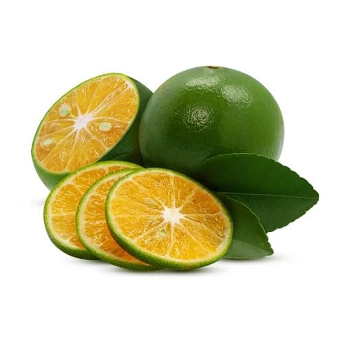 Green Orange Seeds – Heirloom, Non-GMO, High Germination Organic Garden Seeds