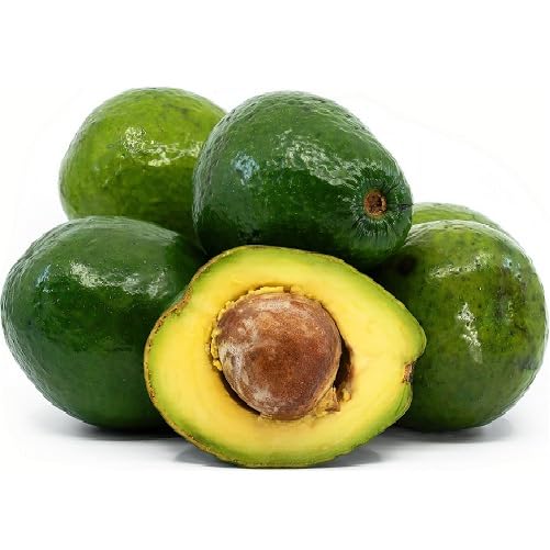 Green Avocado Seeds – Heirloom, Non-GMO, High Germination Organic Garden Seeds