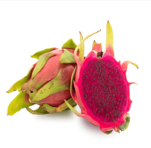 Pink Pitaya Seeds – Heirloom, Non-GMO, High Germination Organic Garden Seeds