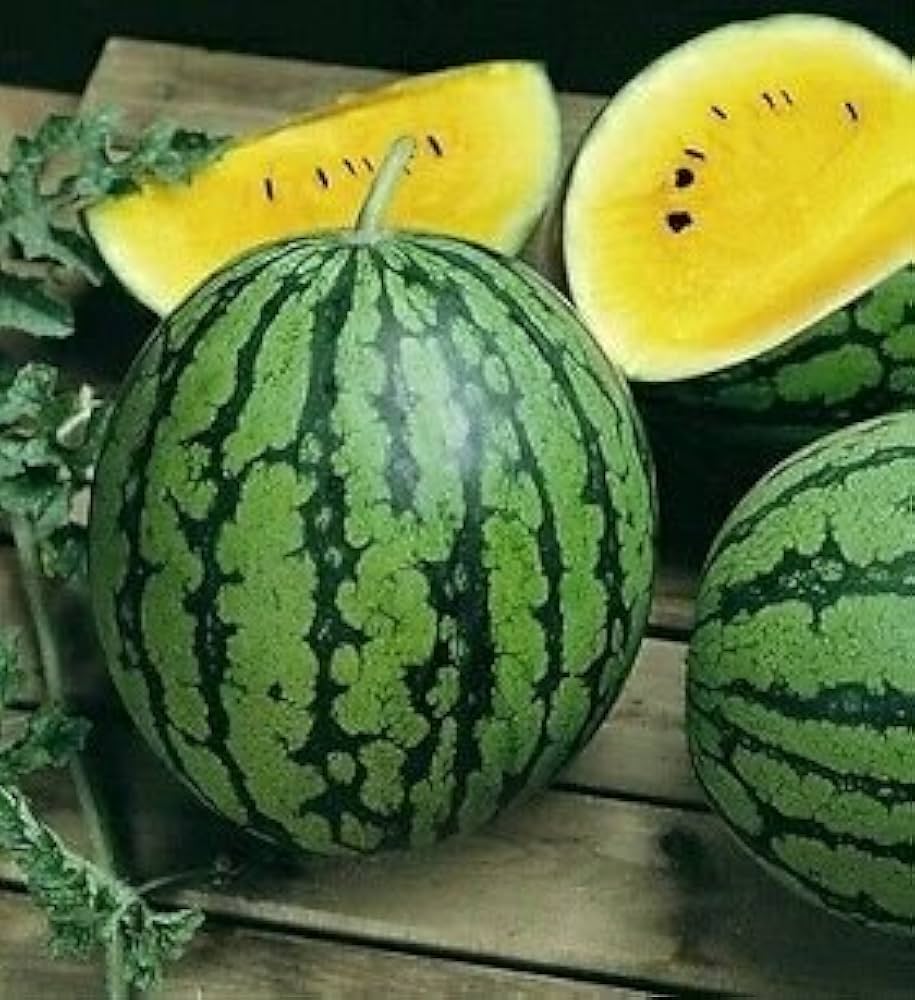 giant watermelon flower seeds