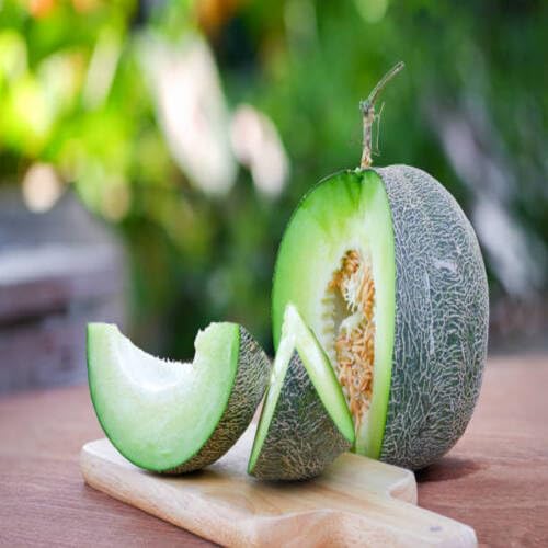 Green Musk Melon Seeds – Heirloom, Non-GMO, High Germination Organic Garden Seeds
