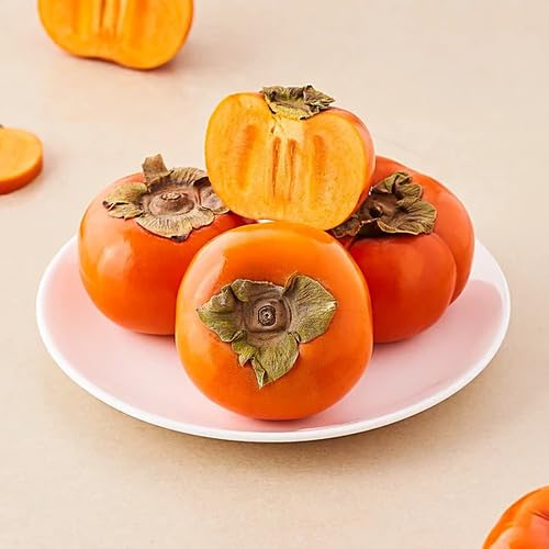 Persimmon Seeds – Heirloom, Non-GMO, High Germination Organic Garden Seeds