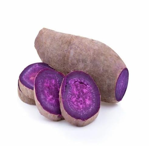 Purple Sweet Potato Seeds – Heirloom, Non-GMO, High Germination Organic Garden Seeds Planting