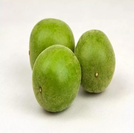 Green Monkfruit Seeds for Planting – Heirloom Non-GMO High Germination Organic Garden Seeds