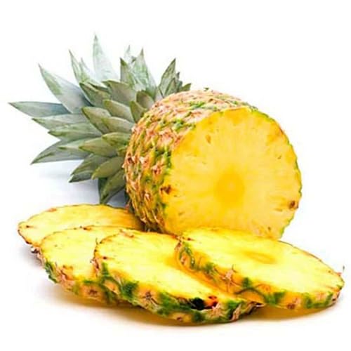 Yellow Pineapple Seeds – Heirloom, Non-GMO, High Germination Organic Garden Seeds