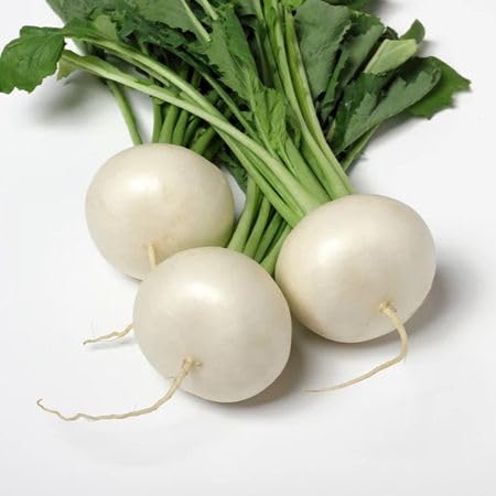 White Turnip Seeds – Heirloom, Non-GMO, High Germination Organic Garden Seeds Planting