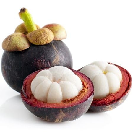 White Mangosteen Seeds Heirloom Non-GMO High Germination Organic Garden Seeds for Planting