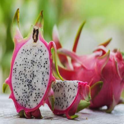 Pink Pitaya Seeds – Heirloom, Non-GMO, High Germination Organic Garden Seeds