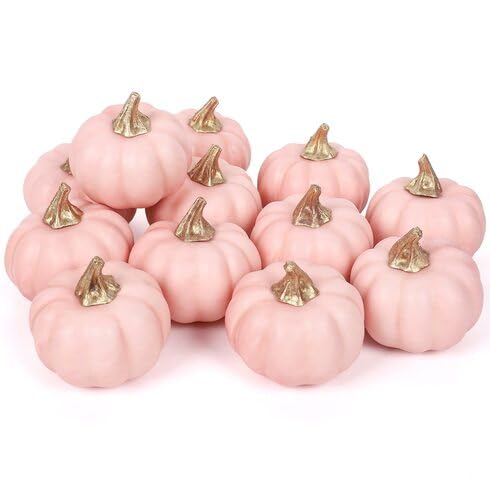 Pink Pumpkin Seeds – Heirloom, Non-GMO, High Germination Organic Garden Seeds Planting