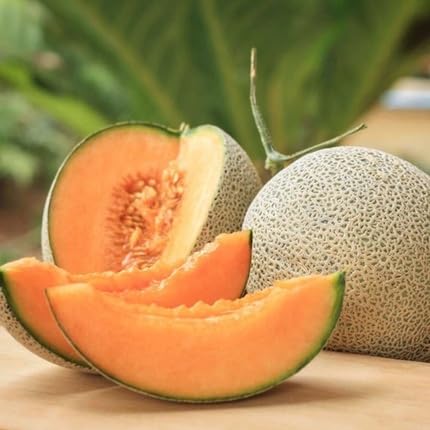 Muskmelon Seeds Orange – Heirloom, Non-GMO, High Germination Organic Garden Seeds
