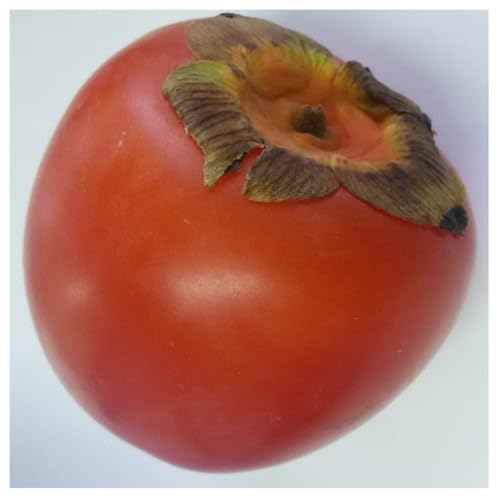Red Kaki Permission Seeds – Heirloom, Non-GMO, High Germination Organic Garden Seeds
