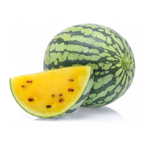Yellow Watermelon Seeds for Planting | Heirloom Non-GMO Organic Garden Seeds