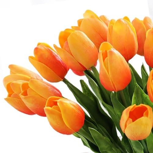 Orange Tulip Flower Seeds – Heirloom, Non-GMO, High Germination Seeds