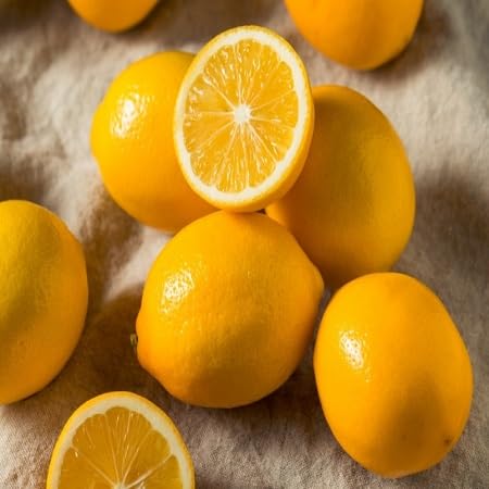 Lemon Fruit Seeds – Heirloom, Non-GMO, High Germination Organic Garden Seeds