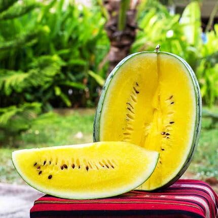 Watermelon Fruit Seeds Yellow for Planting | Heirloom Non-GMO Organic