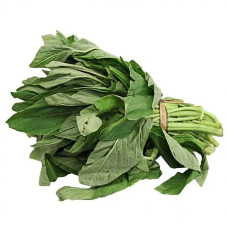 Callaloo – Altes Saatgut, gentechnikfrei, hohe Keimfähigkeit, Bio-Gartenanbau