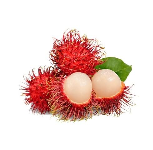 Red Rambutan Seeds – Heirloom, Non-GMO, High Germination Organic Garden Seeds