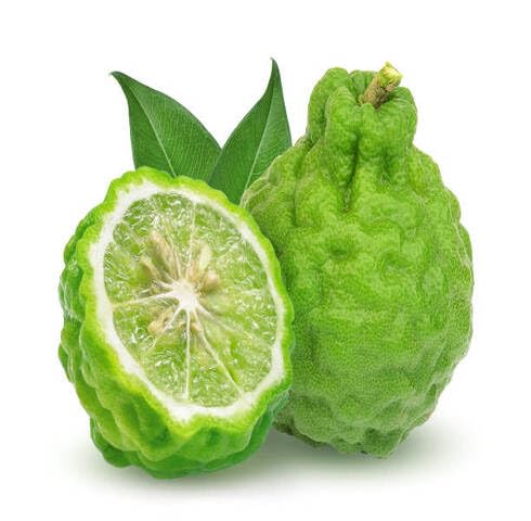 Green Bergamot Seeds Heirloom Non-GMO High Germination Organic Garden Seeds for Planting