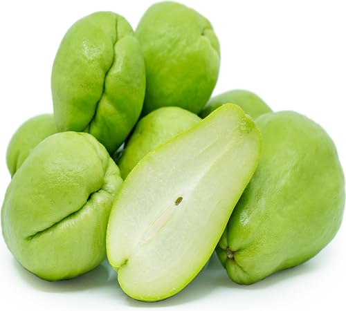 Green Chayote Vegetables Seeds – Heirloom, Non-GMO, High Germination Organic Garden Seeds Planting