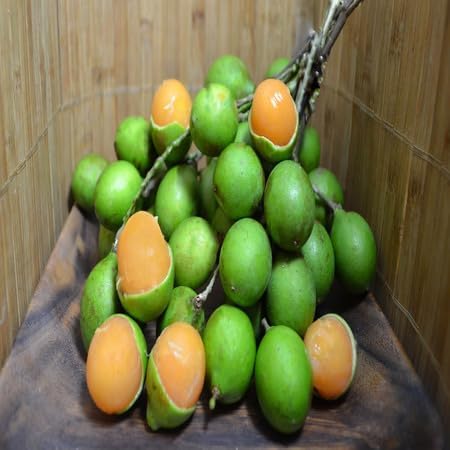 Mamoncillo Seeds – Heirloom, Non-GMO, High Germination Organic Garden Seeds