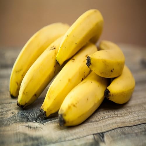 Banana Seeds – Heirloom, Non-GMO, High Germination Organic Garden Seeds
