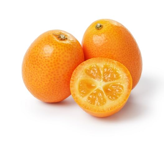 Orange Kumquat Seeds – Heirloom, Non-GMO, High Germination Organic Garden Seeds