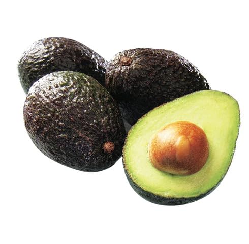 Brown Avocado Seeds – Heirloom, Non-GMO, High Germination Organic Garden Seeds