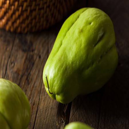 Chayote Seeds – Heirloom, Non-GMO, High Germination Organic Garden Seeds Planting