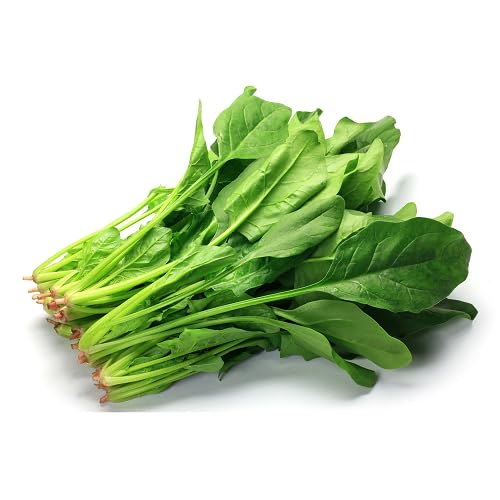 Green Spinach Seeds – Heirloom, Non-GMO, High Germination Organic Garden Seeds Planting