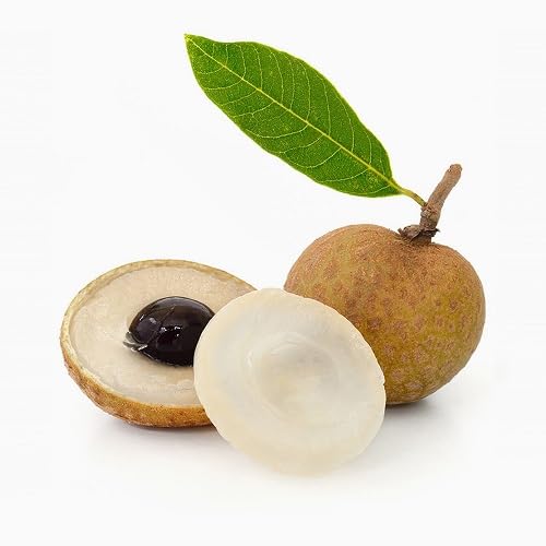 Longan Seeds – Heirloom, Non-GMO, High Germination Organic Garden Seeds