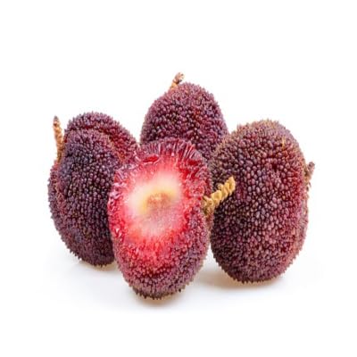 Red Bayberry Seeds – Heirloom, Non-GMO, High Germination Organic Garden Seeds
