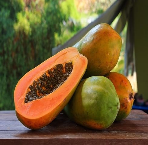 Orange Papaya Seeds – Heirloom, Non-GMO, High Germination Organic Garden Seeds