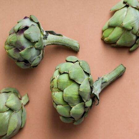 Artichoke – Heirloom, Non-GMO, High Germination Organic Garden Seeds Planting