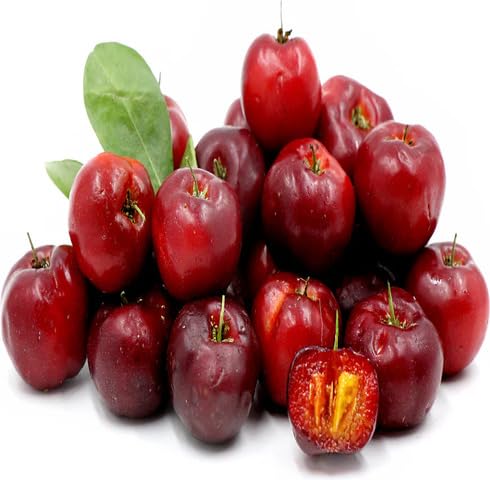 Red Acerola Seeds – Heirloom, Non-GMO, High Germination Organic Garden Seeds