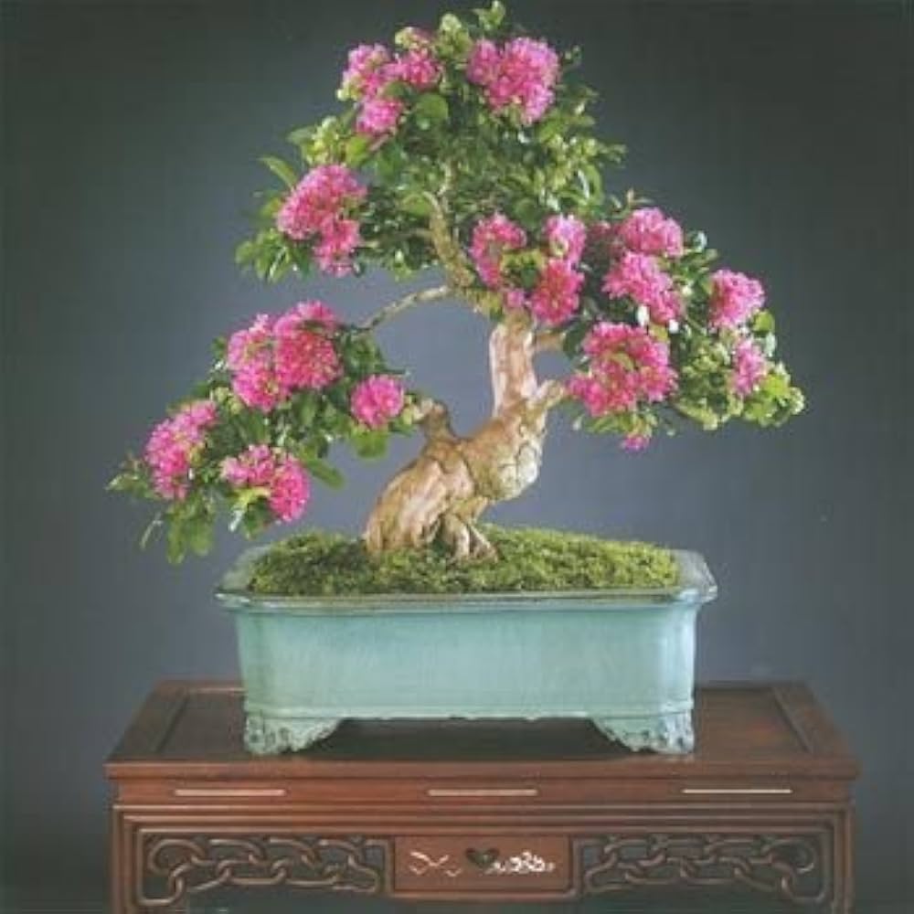 crepe myrtle flower seeds