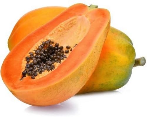 Yellow Papaya Seeds – Heirloom, Non-GMO, High Germination Organic Garden Seeds