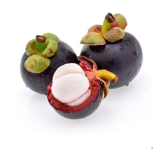 Mangosteen Seeds Organic Heirloom Non-GMO High Germination Organic Garden Seeds for Planting
