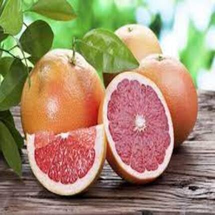 Red Pomelo Citrus Seeds – Heirloom, Non-GMO, High Germination Organic Garden Seeds