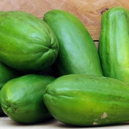 Green Papaya Tree Seeds – Heirloom, Non-GMO, High Germination Organic Garden Seeds