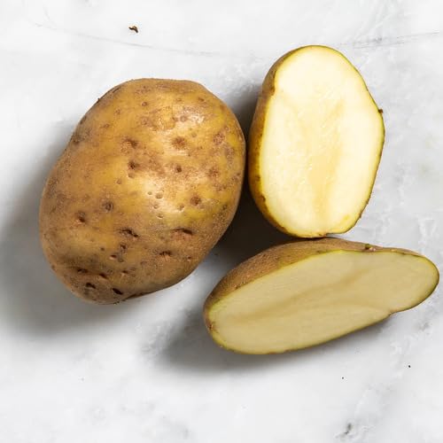 Brown Potato Seeds – Heirloom, Non-GMO, High Germination Organic Garden Seeds Planting