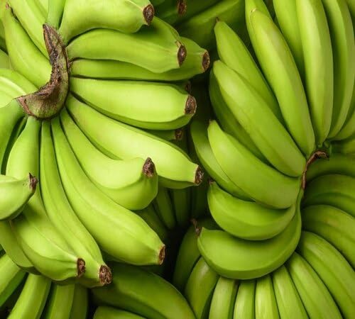 Green Banana Seeds – Heirloom, Non-GMO, High Germination Organic Garden Seeds